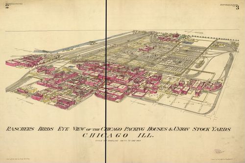 E74 - Raschers Birds Eye View of the Chicago Packing Houses and Union Stock Yards - Charles Rascher - 1890