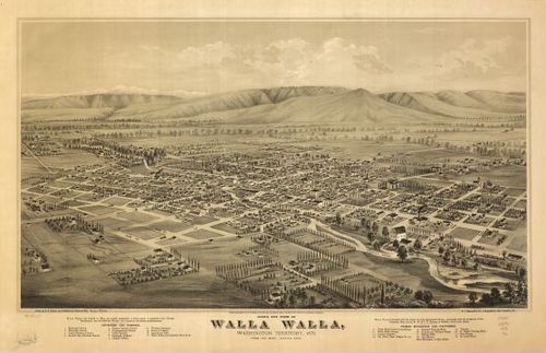 E79 - Birds Eye View of Walla Walla Washington Territory - Eli Sheldon Glover - 1876