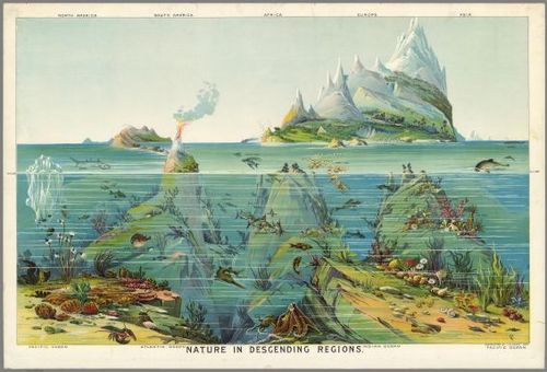 E84 - Nature in Descending Regions.