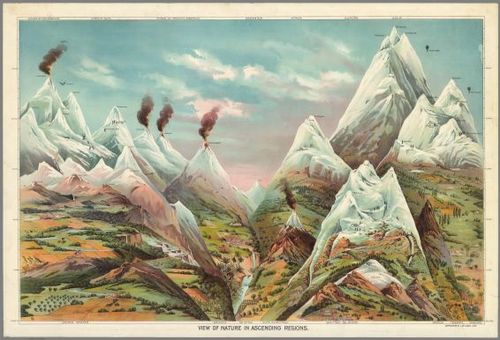 E84 - View of Nature in Ascending Regions.