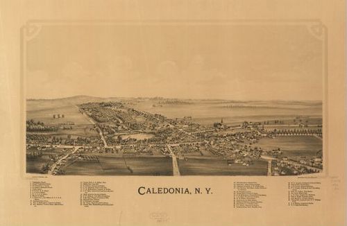 E95 - Caledonia New York