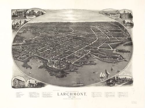 E95 - View of the borough of Larchmont New York - 1904
