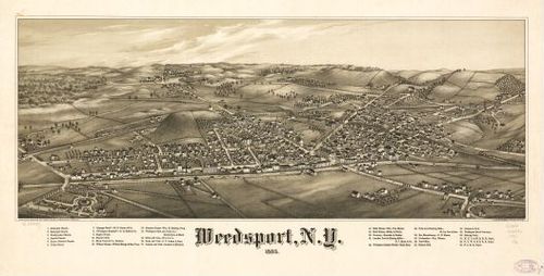E95 - Weedsport New York - 1885