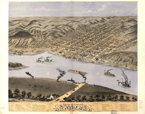 E107 - Birds eye view of the city of Hannibal Marion Co Missouri - 1869