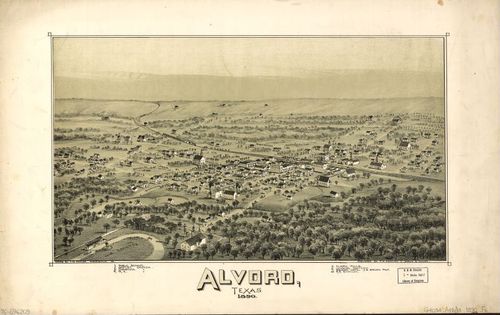 E113 - Alvord Texas - 1890