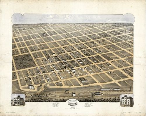 E113 - Birds eye view of the city of Denison Texas - 1873
