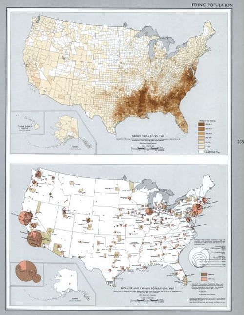 E114 - Ethnic Population