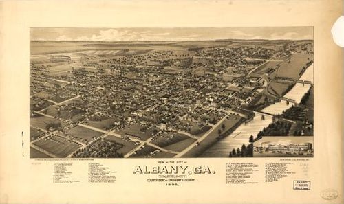 E123 - View of the city of Albany Georgia - 1885