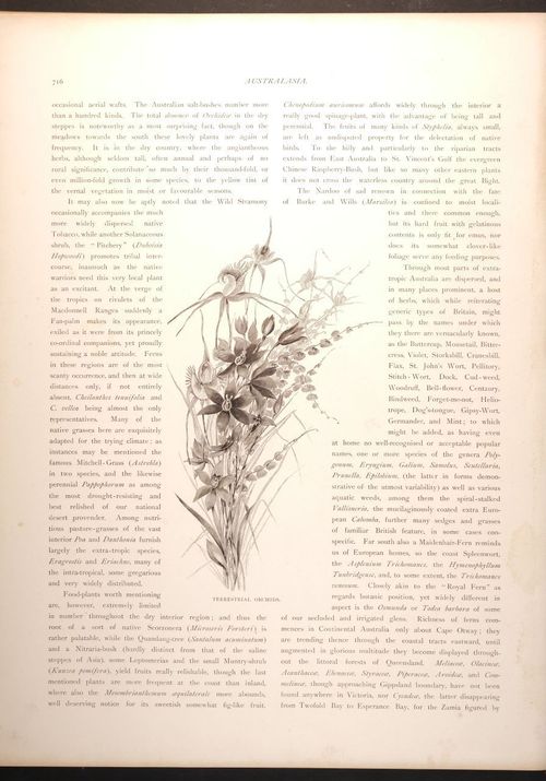  E188 – Picturesque Australia 1888 – 0167