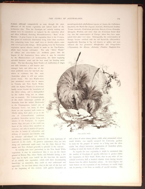  E188 – Picturesque Australia 1888 – 0174