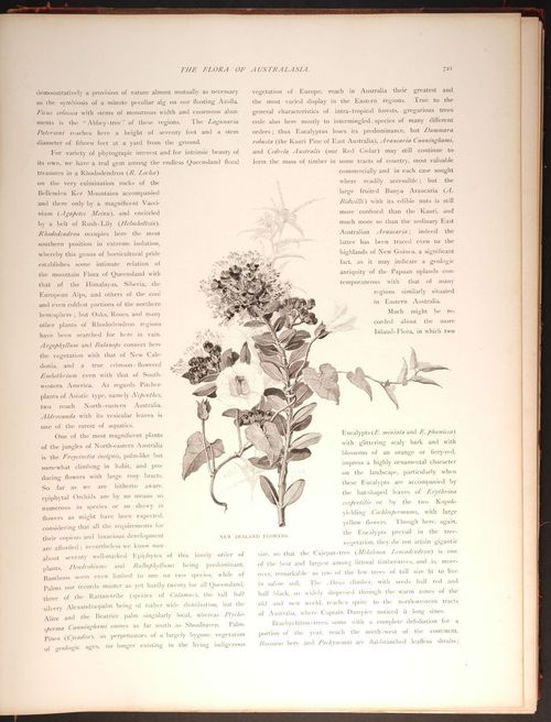  E188 – Picturesque Australia 1888 – 0176