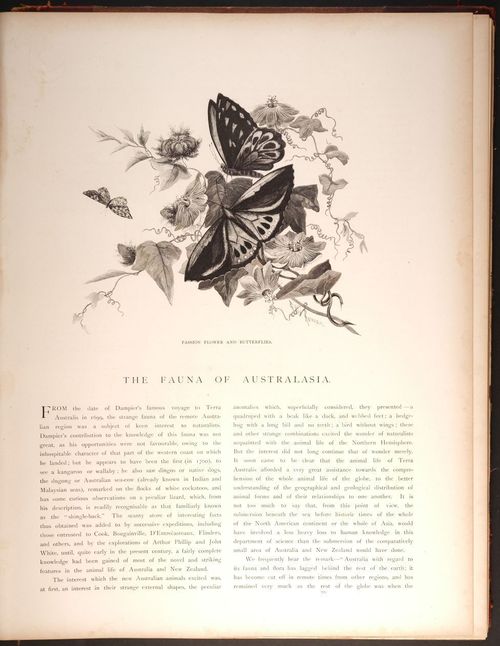  E188 – Picturesque Australia 1888 – 0178