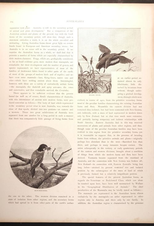  E188 – Picturesque Australia 1888 – 0179