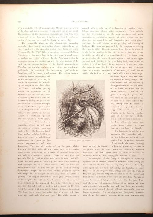  E188 – Picturesque Australia 1888 – 0181