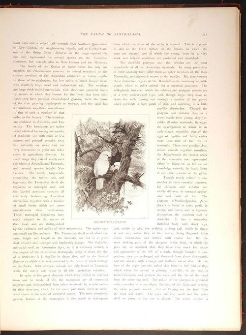  E188 – Picturesque Australia 1888 – 0182