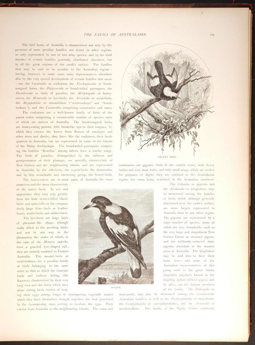  E188 – Picturesque Australia 1888 – 0184