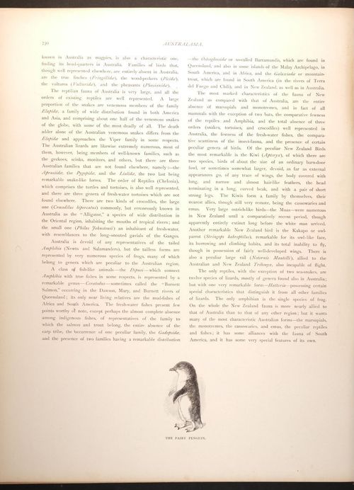  E188 – Picturesque Australia 1888 – 0185