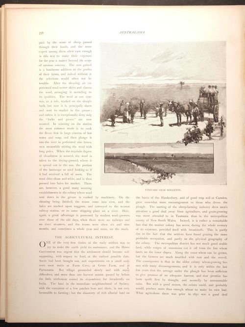 E188 – Picturesque Australia 1888 – 0217