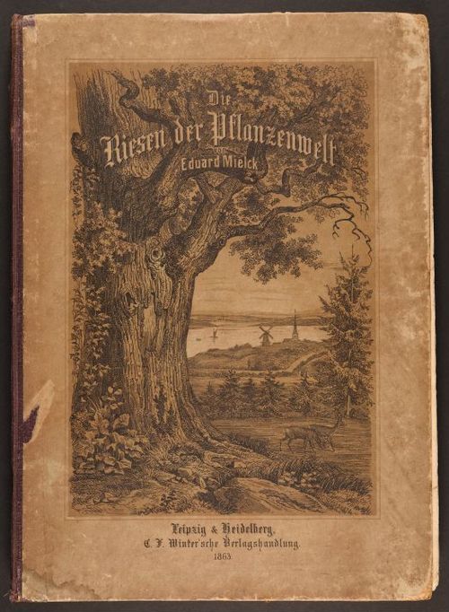 E190 – Eduard Mielck 1863 – 0316