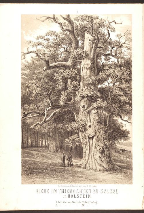 E190 – Eduard Mielck 1863 – 0319