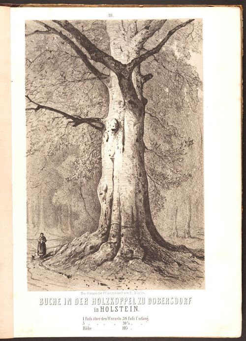 E190 – Eduard Mielck 1863 – 0322