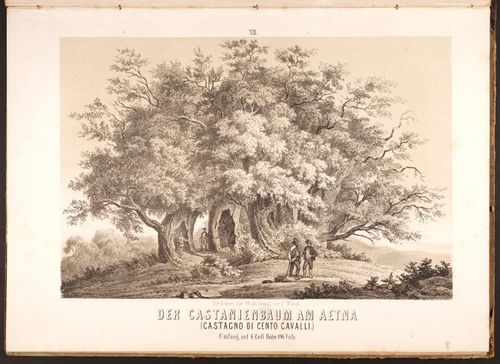 E190 – Eduard Mielck 1863 – 0325