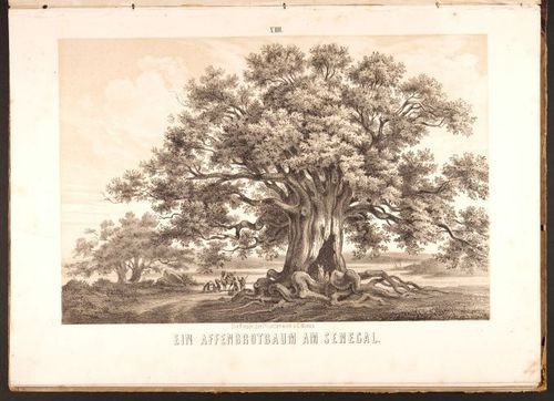 E190 – Eduard Mielck 1863 – 0326