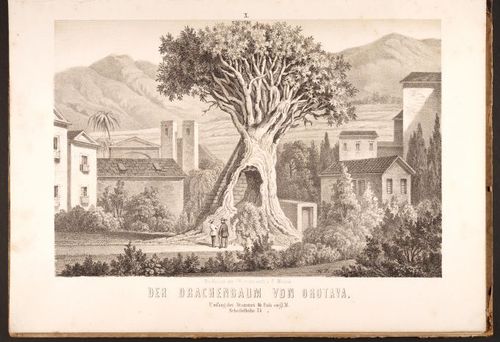 E190 – Eduard Mielck 1863 – 0327