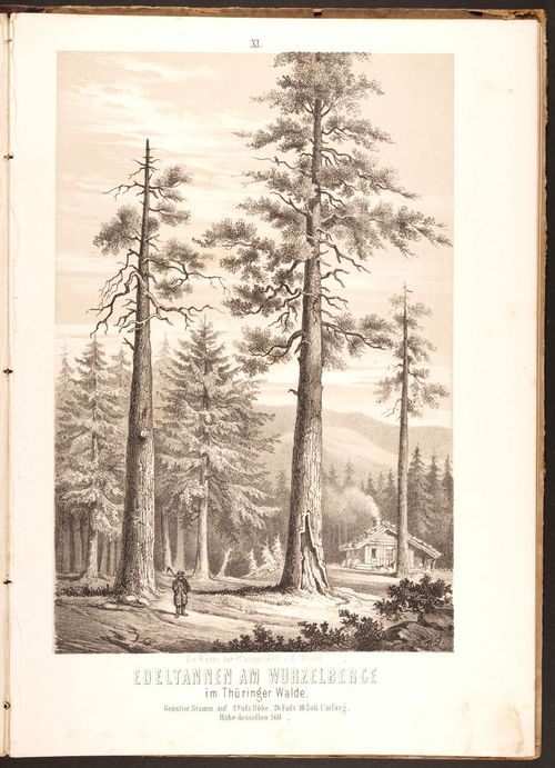 E190 – Eduard Mielck 1863 – 0328