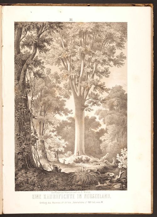 E190 – Eduard Mielck 1863 – 0329