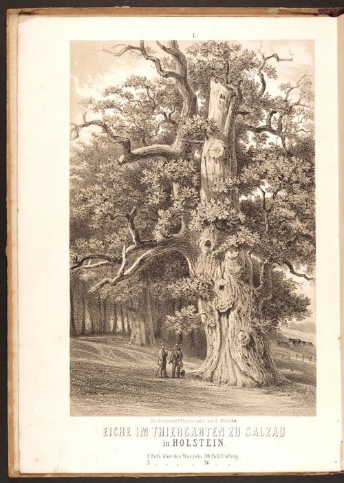 E190 – Eduard Mielck 1863 – 0338