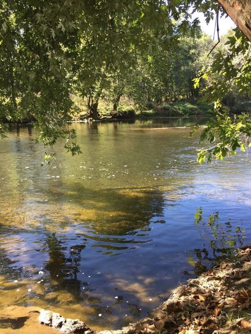 E195 - Brandywine Creek at Chad's Ford