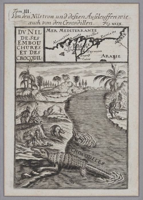 E201 - The Suez Canal - 1218
