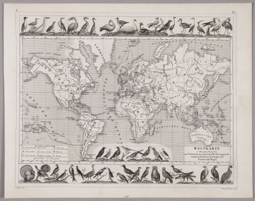E219 - Various Data Visualization - 1306
