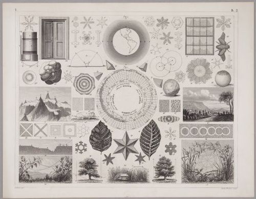 E219 - Various Data Visualization - 1308