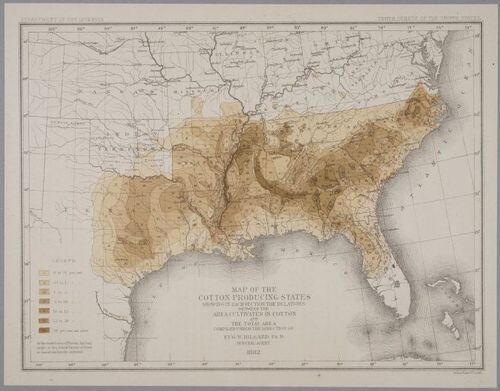 E219 - Various Data Visualization - 1335