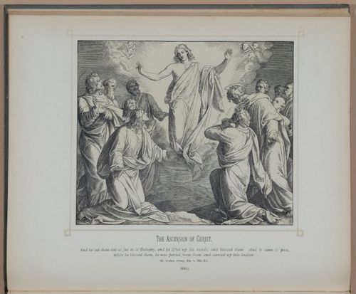 E245 - Bible Pictures 1890 - 1981