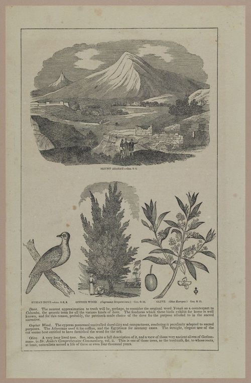 E250 - Illustrations of the Holy Scriptures  19th Century - 2153