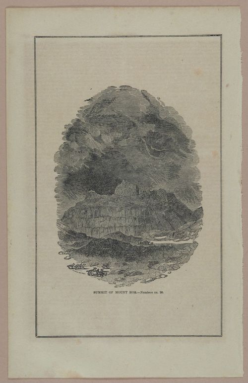 E250 - Illustrations of the Holy Scriptures  19th Century - 2154