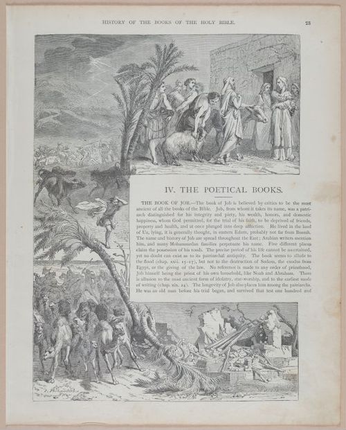 E251 - Pictorial Family Bible - 19th Century - i2433