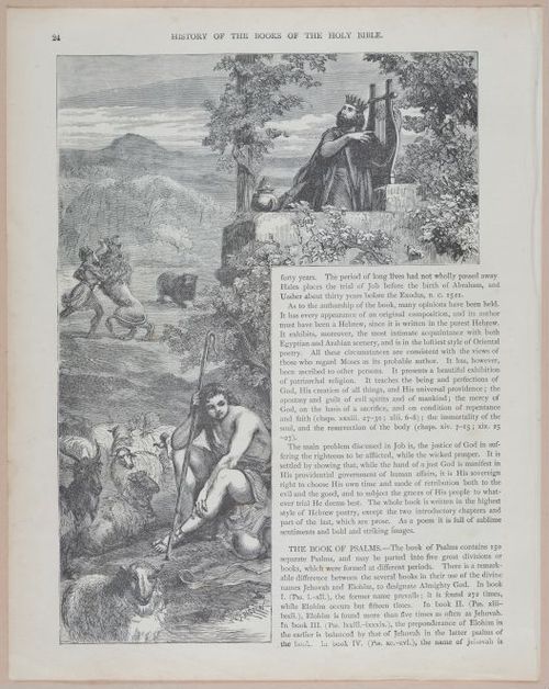 E251 - Pictorial Family Bible - 19th Century - i2434