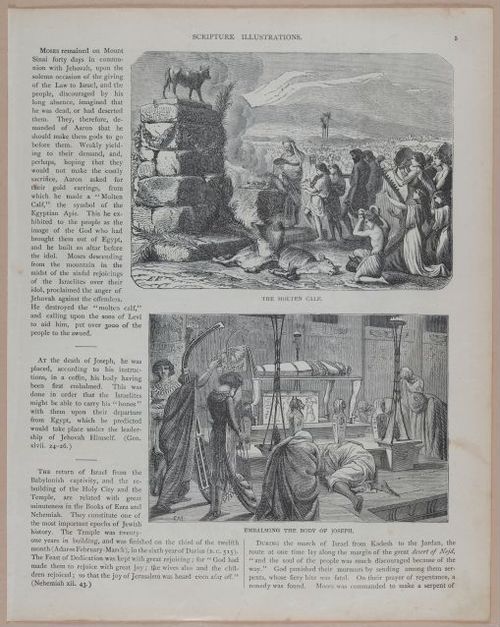 E251 - Pictorial Family Bible - 19th Century - i2477