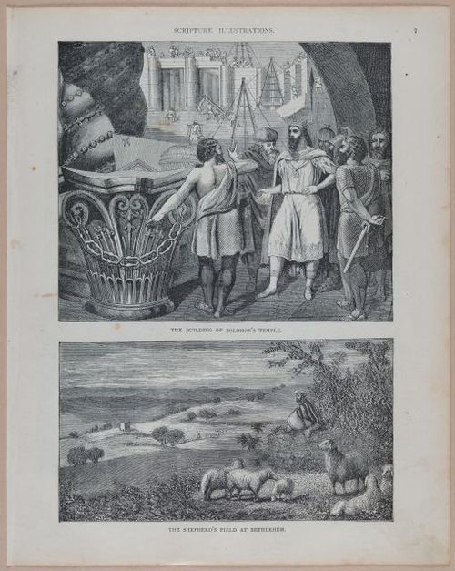 E251 - Pictorial Family Bible - 19th Century - i2479