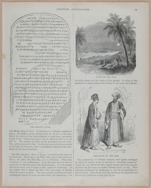 E251 - Pictorial Family Bible - 19th Century - i2498