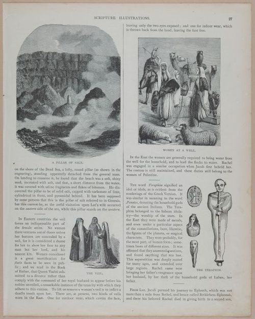 E251 - Pictorial Family Bible - 19th Century - i2503