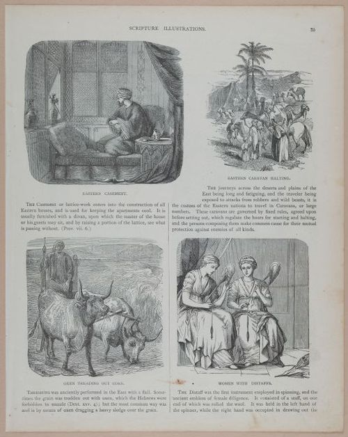 E251 - Pictorial Family Bible - 19th Century - i2511