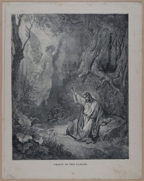 E251 - Pictorial Family Bible - 19th Century - i2331