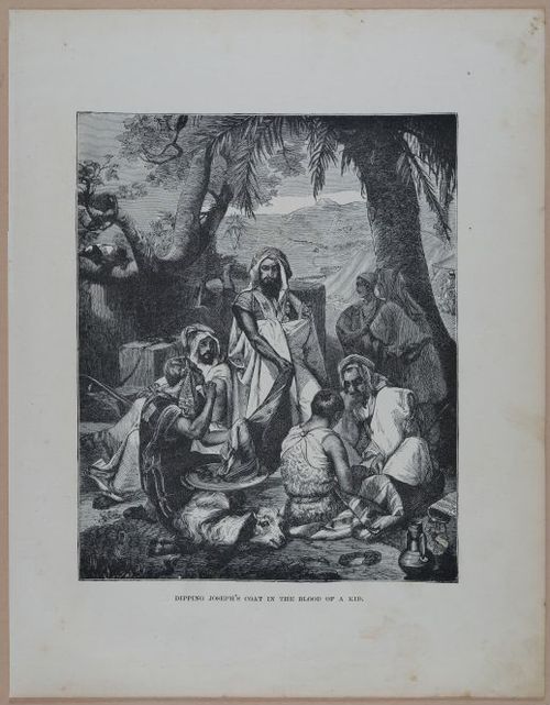 E251 - Pictorial Family Bible - 19th Century - i2366