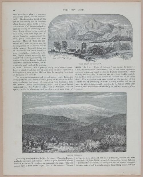 E251 - Pictorial Family Bible - 19th Century - i2524