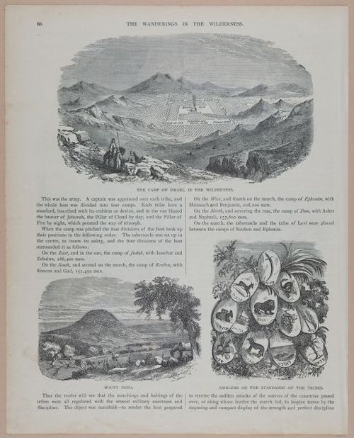E251 - Pictorial Family Bible - 19th Century - i2536